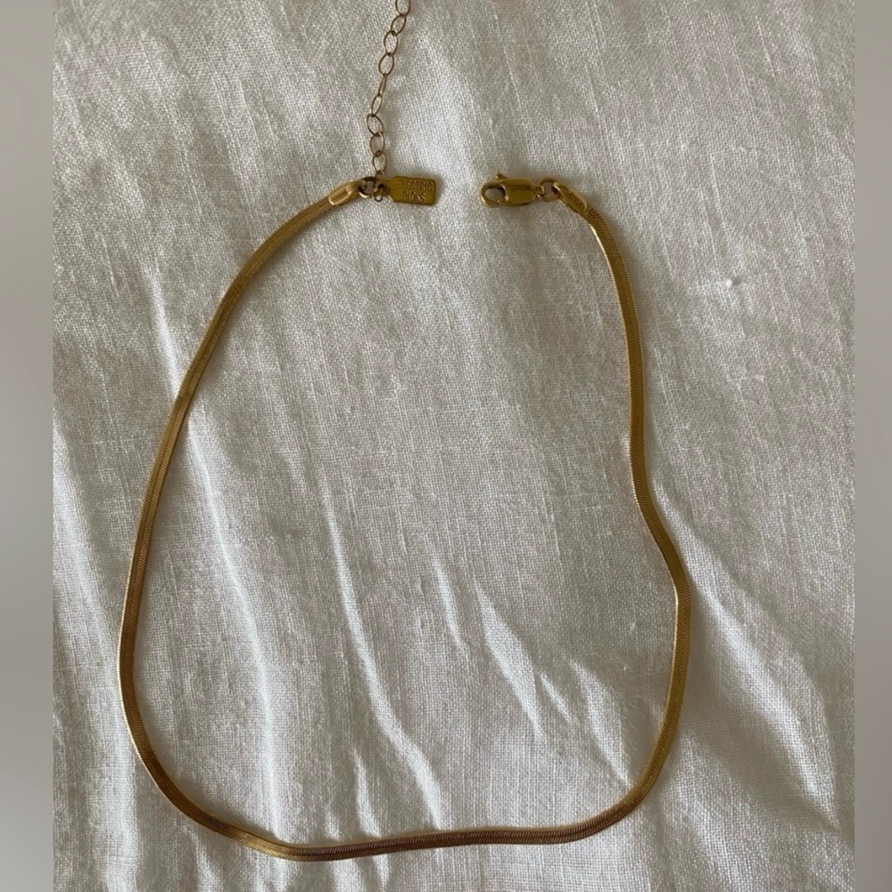 Electric Picks Python Necklace